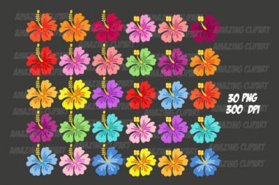 Hibiscus_Clipart_-_Hibiscus_Flower~0.jpg