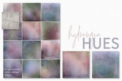 Hydrangea_Hues.jpg