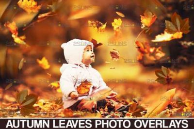 Leaf_Overlay___Photoshop_Overlay_Fall~5.jpg