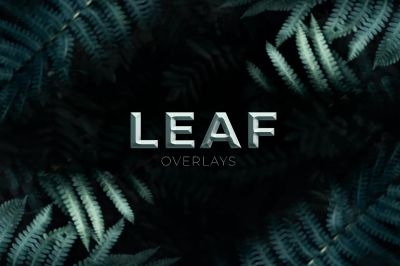 Leaf_Overlays~0.jpg