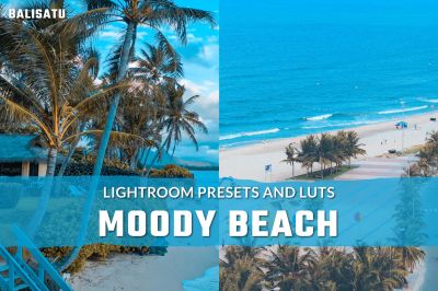 Moody_Beach_LUTs_and_Lightroom_Presets.jpg