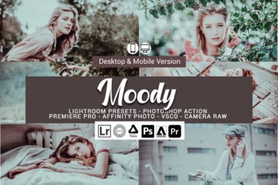 Moody_Presets.jpg