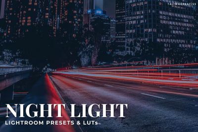 Night_Light_Lightroom_Presets_and_LUTs.jpg