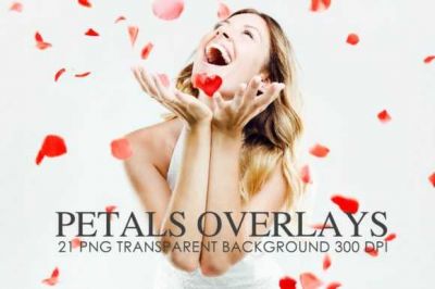 Petals_Overlays~5.jpg