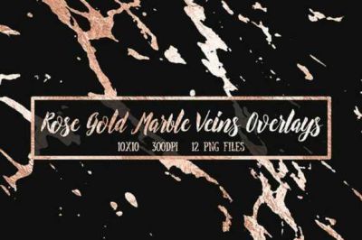 Rose_Gold_Foil_Marble_Overlays~5.jpg