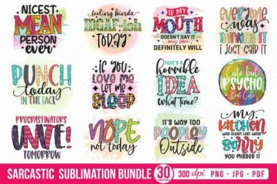 Sarcastic_Sublimation_Bundle2C_30_Designs~0.jpg