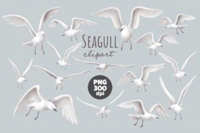 Seagull_Clipart~1.jpg