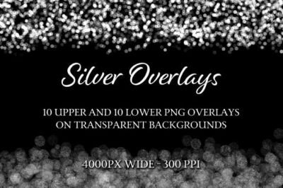 Silver_Overlays~5.jpg