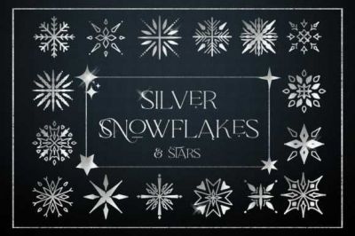 Silver_Snowflakes_Stars_Digital_Foil~5.jpg