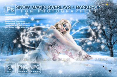 Snow_Magic_Overlays2C_Snowflakes_Wings.png