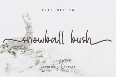 Snowball_Bush~1.jpg