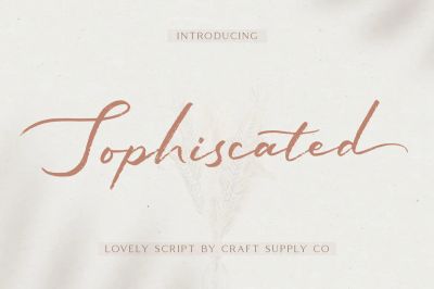 Sophiscated_-_A_Lovely_Script_Font~2.jpg