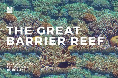 The_Great_Barrier_Reef~5.jpg