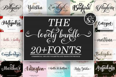 The_Lovely_Bundle~1.jpg