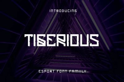 Tigerious_-_Modern_Sport_Font_DR~1.jpg