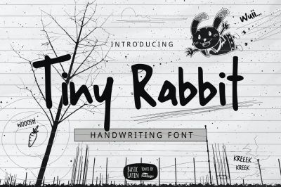 Tiny_Rabbit_Handwriting_Font~1.jpg