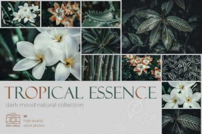 Tropical_Essence__Photo_Bundle~5.jpg