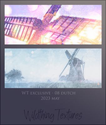 WT-08-Dutch.jpg