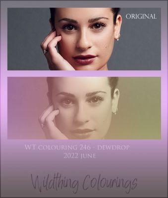 WTcolours246~0.jpg