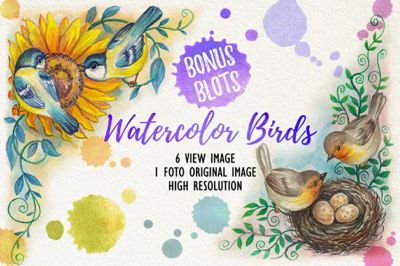 Watercolor_Birds~1.jpg