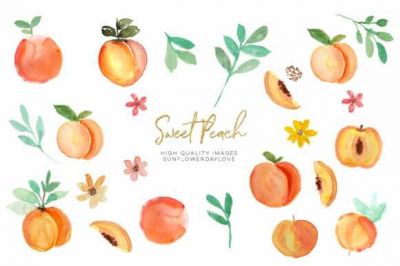 Watercolor_Peach_Clipart2C_Peach_Fruit~0.jpg