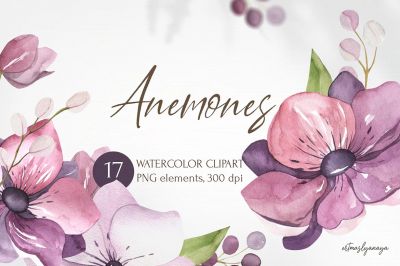 Watercolor_Spring_bloom_clipart__Anemone_blossom~0.jpg