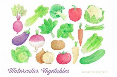 Watercolor_Vegetables_Clipart~1.jpg