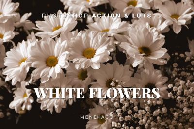 White_Flowers_Photoshop_Action___LUTs.jpg