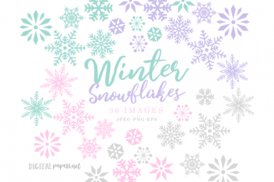 Winter_Snowflakes_Clipart_Set~0.png