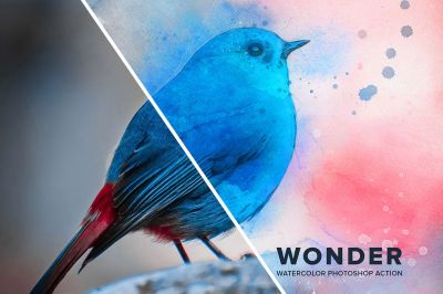 Wonder_Watercolor_Photoshop_Action_CS3~0.jpg