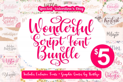 Wonderful_Script_Font_Bundle~1.png