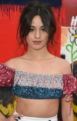 camila-cabello-at-the-tommy-hilfiger-spring-2017-womens-collection-launch-party-in-los-angeles-4.jpg