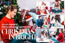 12_Christmas_in_Bright_Video_LUTs_Preset.jpg