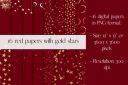 16_Red_Digital_Papers_with_Gold_Stars~3.jpg