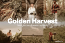 20-golden-harvest-luts.png