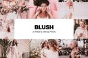 20_Blush_Lightroom_Presets_and_LUTs.jpg