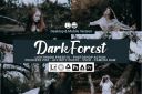 20_Dark_Forest_Presets.jpg