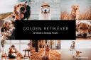 20_Golden_Retriever_Lightroom_Presets___LUTs.jpg