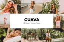 20_Guava_Lightroom_Presets___LUTs.jpg