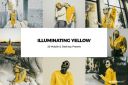 20_Illuminating_Yellow_Lightroom_Presets.jpg