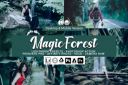 20_Magic_Forest_Presets.jpg