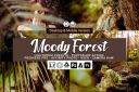 20_Moody_Forest_Presets.jpg