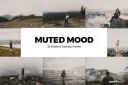 20_Muted_Mood_Lightroom_Presets_and_LUTs.jpg