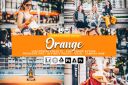 20_Orange_Presets.jpg