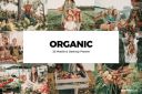 20_Organic_Lightroom_Presets_and_LUTs.jpg