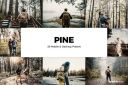 20_Pine_Lightroom_Presets_and_LUTs.jpg