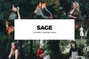 20_Sage_Lightroom_Presets___LUTs.jpg