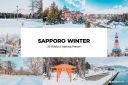 20_Sapporo_Winter_Lightroom_Presets_and_LUTs.jpg