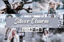 20_Silver_Charm_Presets.jpg