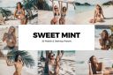 20_Sweet_Mint_Lightroom_Presets_and_LUTs.jpg